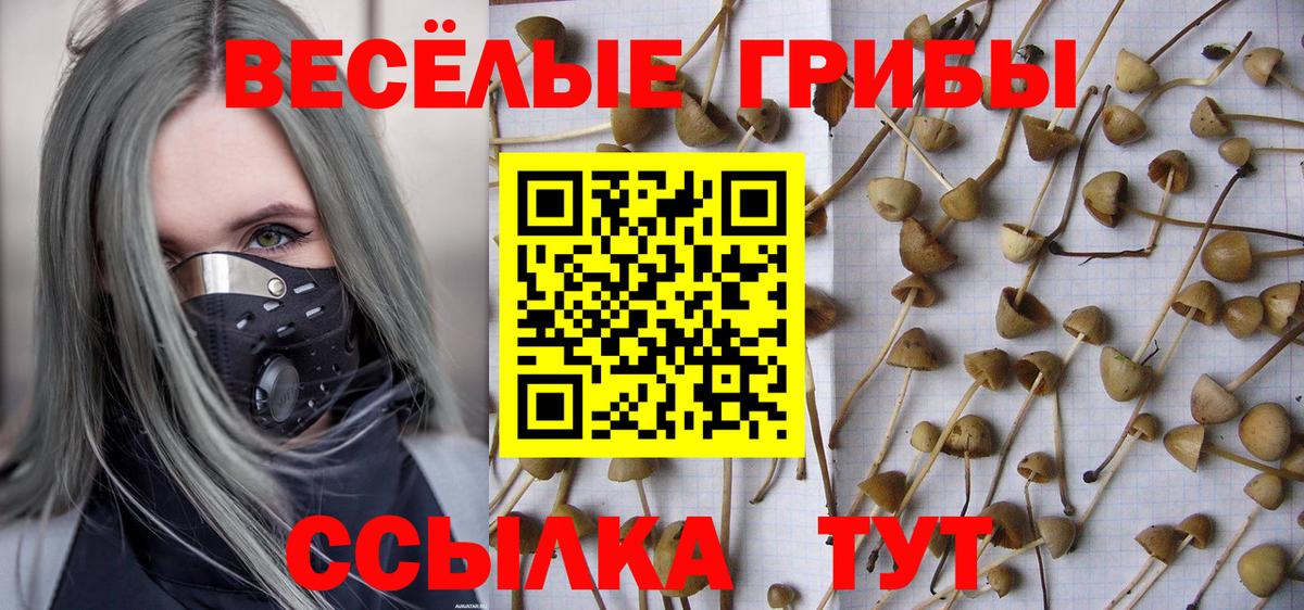 Галлюциногенные грибы Cubensis Ейск