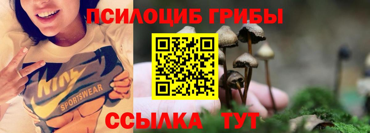 закладки  Вход с VPN  Ейск  Псилоцибиновые грибы прущие грибы 